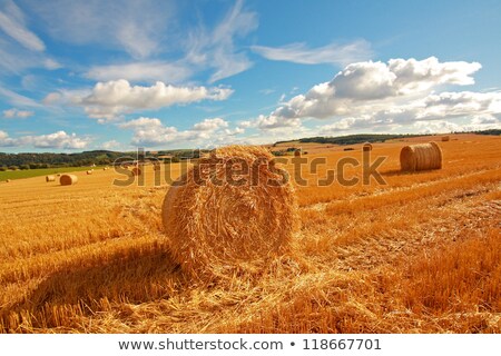 Scenic Landscape With Haybales ストックフォト © Julietphotography