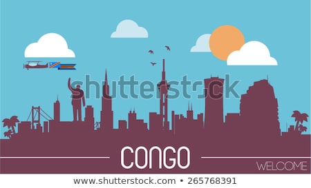 Stok fotoğraf: Democratic Republic Of The Congo Flag Vector Illustration On A White Background