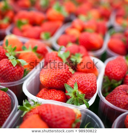 Stock fotó: Farmers Market Series - Fresh Strawberries