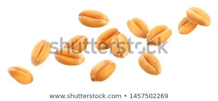 Stock foto: Wheat Grains