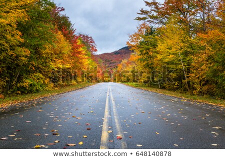 Сток-фото: Straight Stretch Of Road