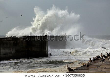 Stok fotoğraf: Waves Breaking On A Rock Against A Dramatic Sky