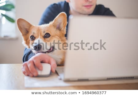 Foto stock: Puppy Sits With Woman And Man