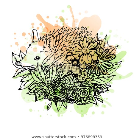 Stockfoto: Hedgehog Head Vector Animal Illustration For T Shirt Sketch Tattoo Design