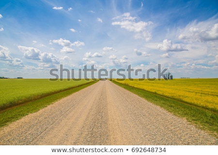 Stock fotó: Road In Prairie