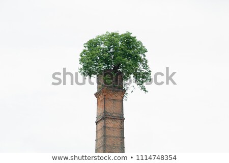 Stok fotoğraf: Old Chimney In The Forest