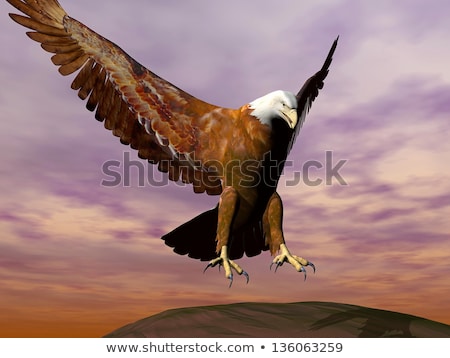 Stockfoto: Eagle Landing - 3d Render