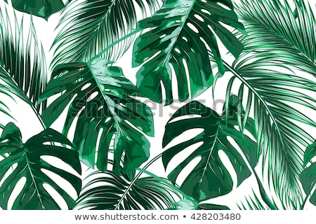 Stok fotoğraf: Tropical Palm Leaves Vector Seamless