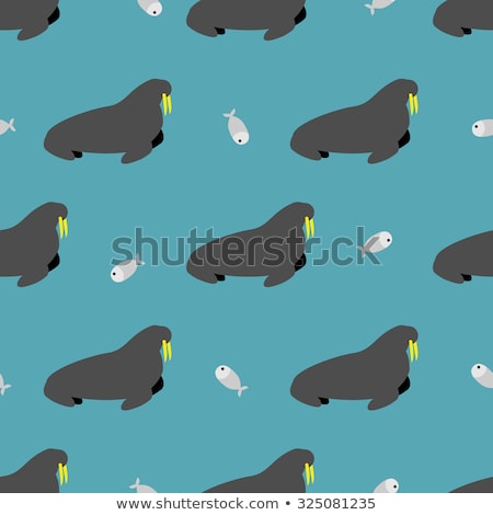 Сток-фото: Seal And Fish Seamless Pattern Walrus With Large Tusks Arctic