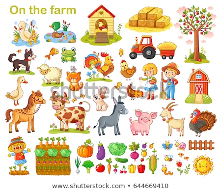 Imagine de stoc: Farmer Feeding Donkey With Apple Illustration