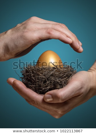 Stok fotoğraf: Golden Egg In Female Hand