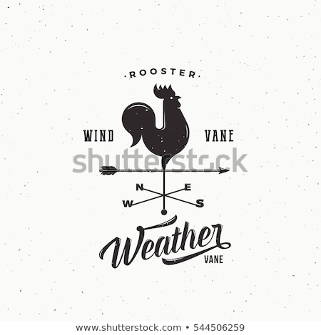 Сток-фото: Direction Sign With Weather Vane Illustration