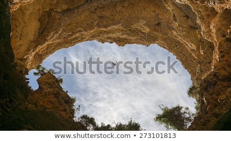 Stok fotoğraf: Saegull Flying Between The Rocks