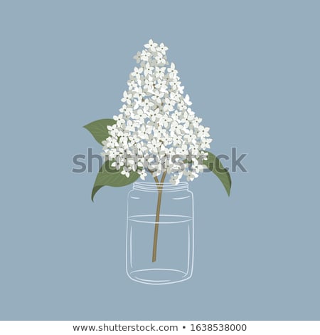 Foto stock: Vector Lilac In Vase