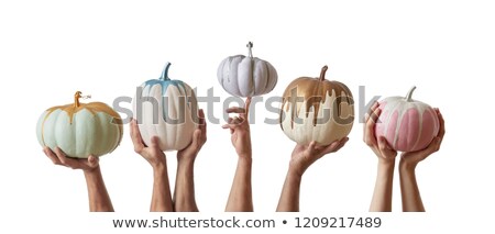 Stock photo: Freshly Painted Handmade Colorful Pumpkin In A Pastel Colors Holding By Hands On A White Background