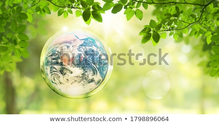 Foto d'archivio: Green Eco Sign Of Blue Earth