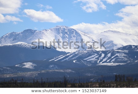 Stok fotoğraf: Winter In The Park