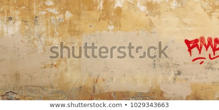 Zdjęcia stock: Grungy Street Wall