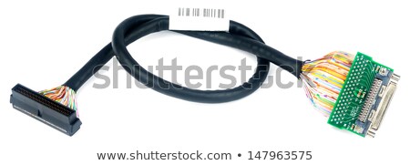 Kabel danych Scsi na białym Zdjęcia stock © Vtls