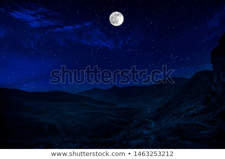 Foto stock: A Desert Scene At Night