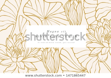 Stockfoto: Elegant Floral Background Invitation