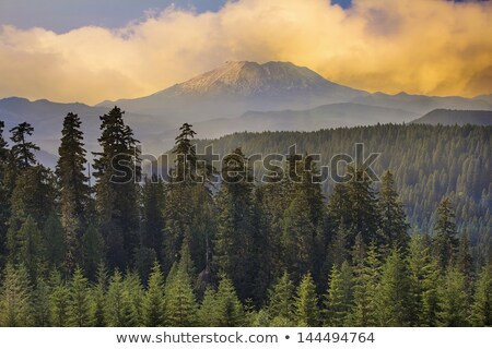 ストックフォト: Sunset Over Mount St Helens