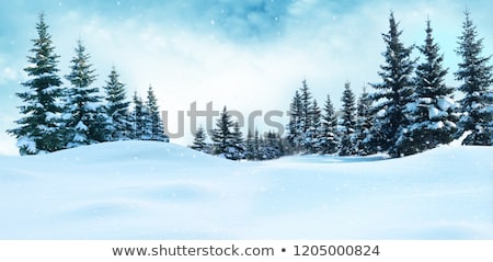 [[stock_photo]]: Christmas Landscape With Fir Tree In The Snow