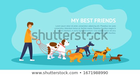 Сток-фото: Boy Walking Dog On Leash In Park Cartoon Banner