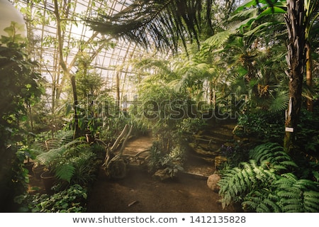Foto stock: Old Greenhouse
