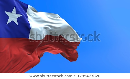 Turkey And Chile Flags Сток-фото © Myvector