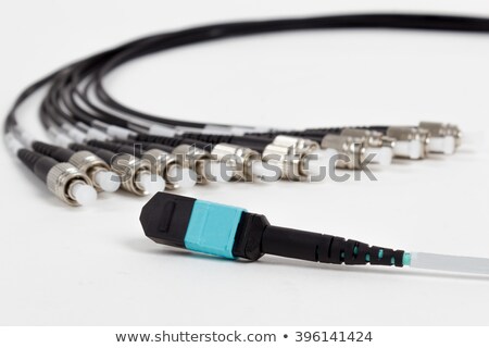 Stock fotó: Fiber Optic Mtp Mpo Pigtail Patchcord Connectors