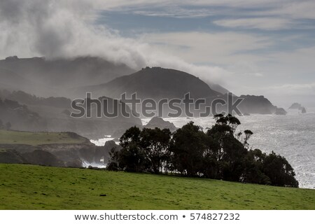 Stok fotoğraf: Foggy Scenic Big Sur In Wintertime