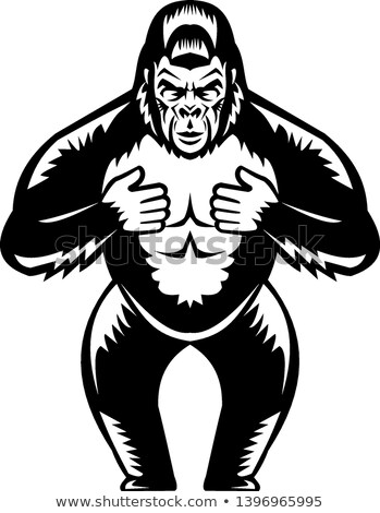 Stockfoto: Silverback Gorilla Beating Chest Woodcut