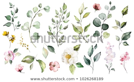 ストックフォト: Watercolor Leaves Collection