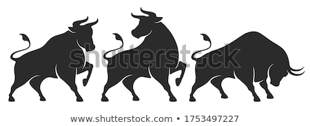 Foto stock: Bull