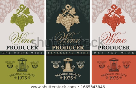 Stockfoto: Vintage Wine Labels Set