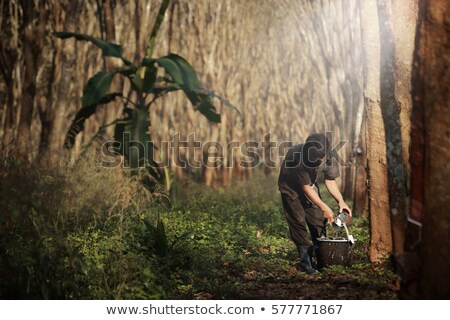 Stock photo: Rubber Milk