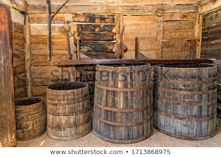 [[stock_photo]]: Apples Are Stored In The Cellar