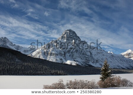 Сток-фото: Snow Covered Mount Chephren Under A Blue Sky