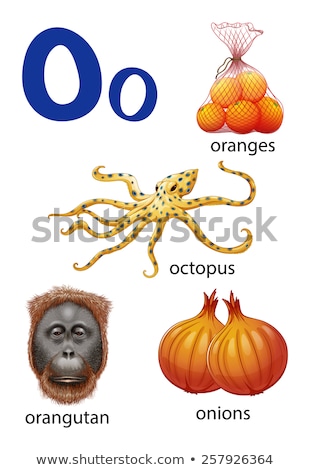 Stock photo: A Letter O For Onions