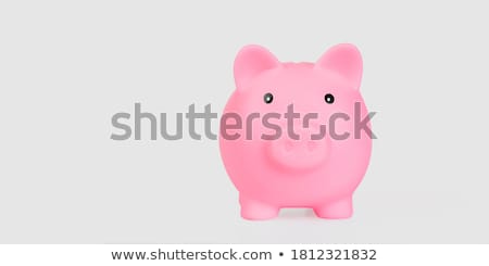 [[stock_photo]]: Pink Piggy Bank With Clipping Path