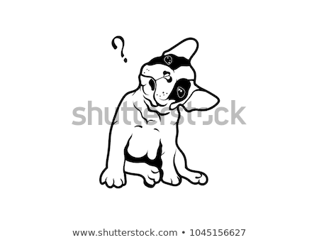 Foto stock: Smiling French Bulldog