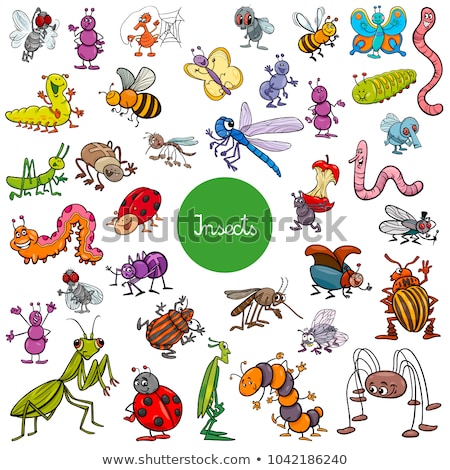 Stockfoto: Vector Cartoon Insect Clip Art