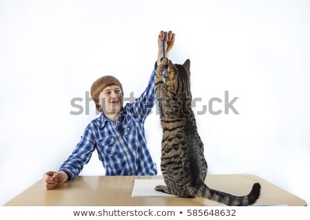 Foto stock: Smart Boy Learning For School Has A Break And Plays With His Cat