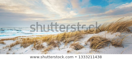 Foto stock: Coastal Landscape