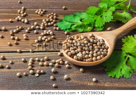 Foto stock: Coriander Seeds