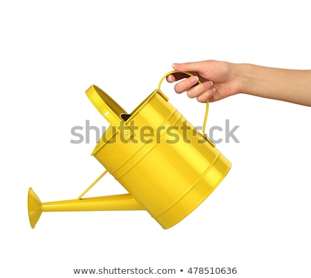 Stok fotoğraf: Woman With Watering Can Isolated On White