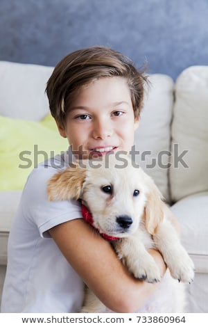 Foto stock: Cute Teen Boy With Baby Retriever Dog In Room
