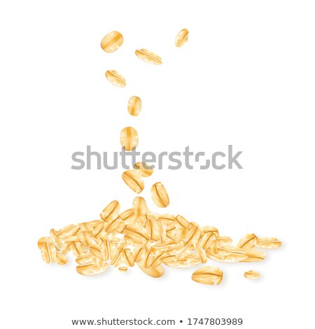 Oatmeal Agricultural Cereal Granules Crop Vector Foto stock © pikepicture