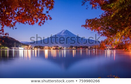 [[stock_photo]]: Japanese Temple Tokyo